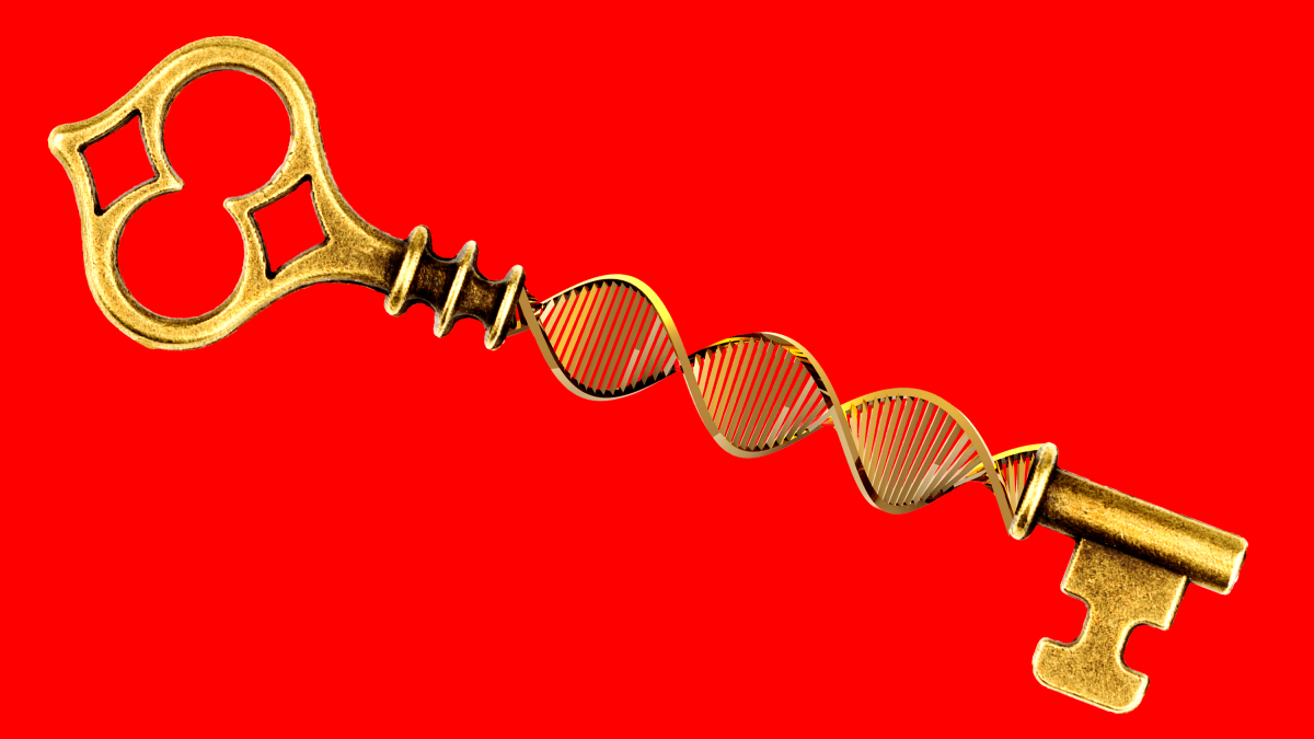 在进行邮寄 DNA 测试之前，请做好了解家庭秘密的准备