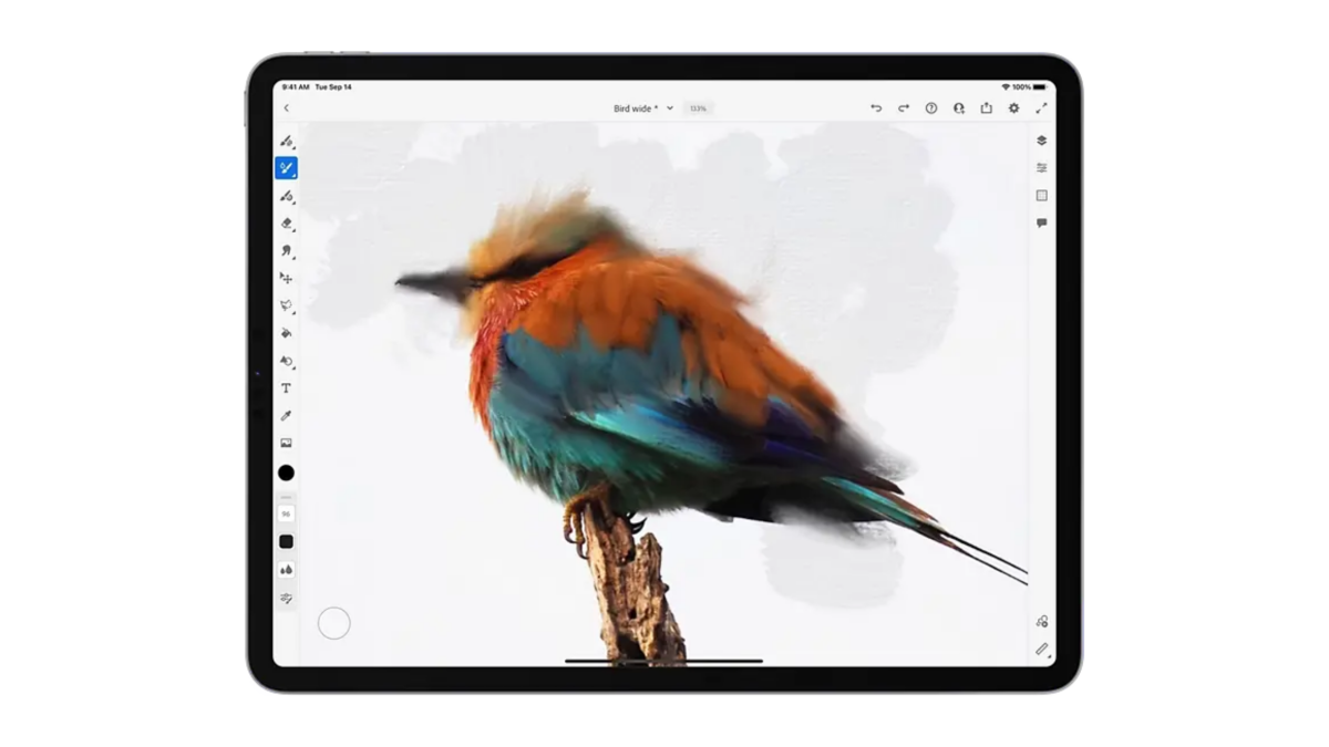 Adobe 类似 Procreate 的数字绘画应用程序现已免费向所有人开放